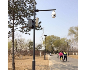 白银路灯监控杆-LB-03