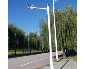 白银监控杆-LB-01
